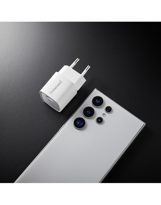 USB-C GaN maitinimo adapteris Intenso (7803062)