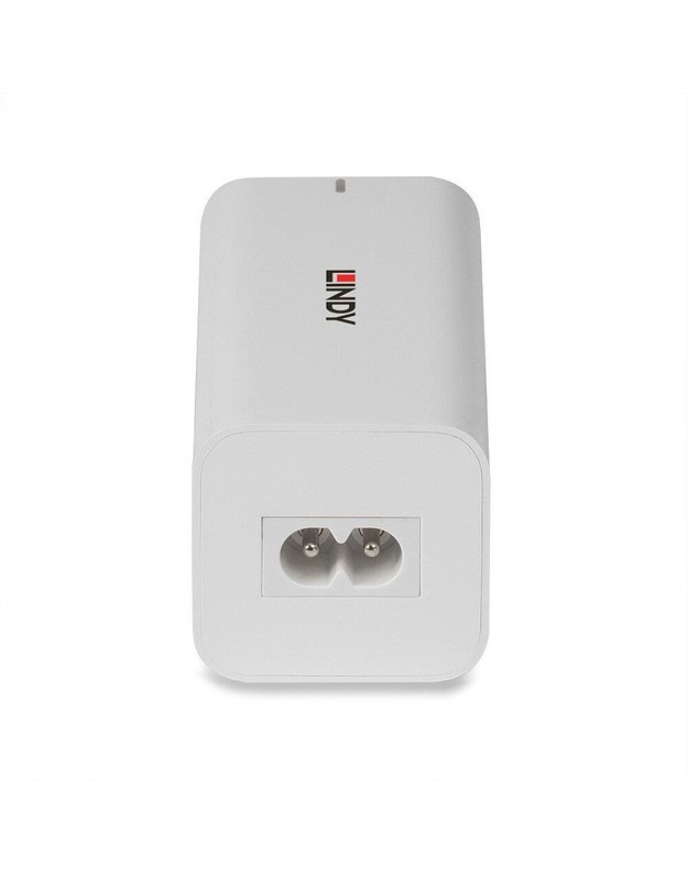 USB įkroviklis Lindy 100W, 4 jungtys (73441)
