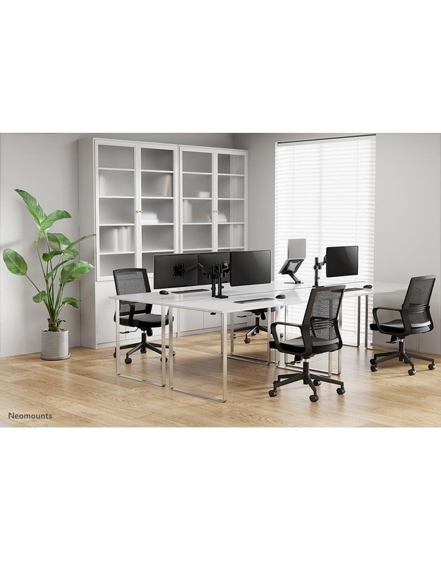 Monitoriaus stalo laikiklis Neomounts 17–27" (DS70-750BL1)