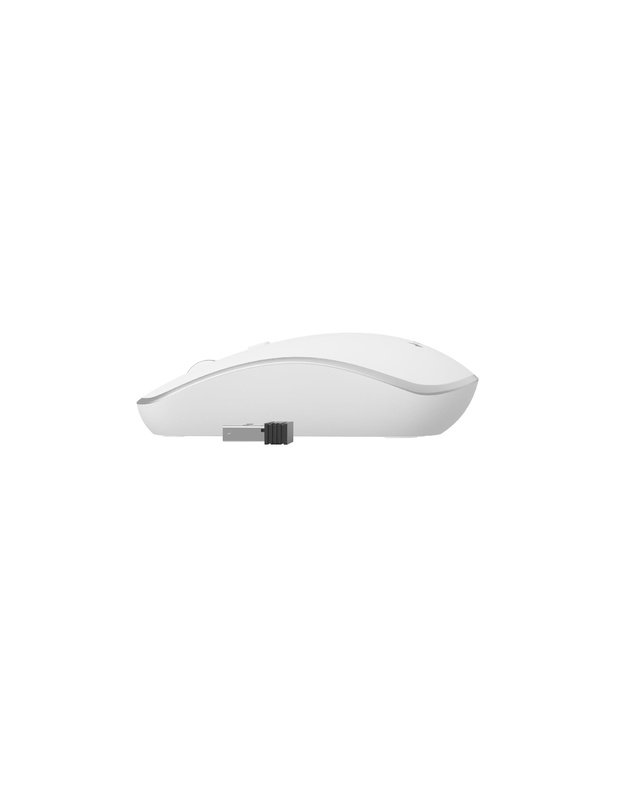MOUSE USB OPTICAL WRL WHITE/SILVER MUSW-4B-06-WS GEMBIRD