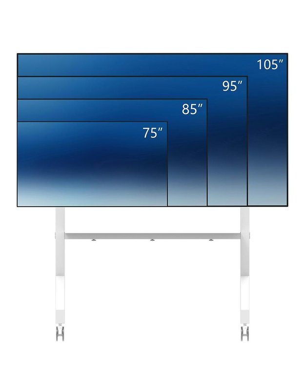 Televizoriaus grindų stovas Neomounts 65–110", baltas (FL50-575WH1)