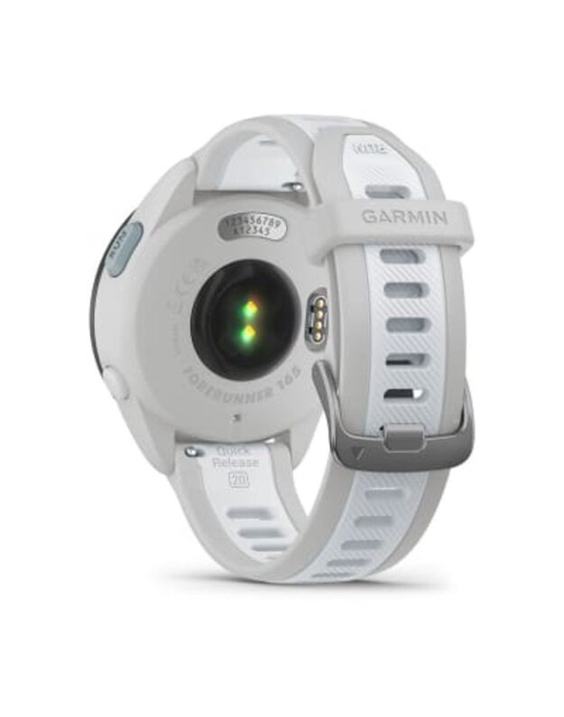 Garmin Forerunner 165 Music Mist Grey (Whitestone) 1