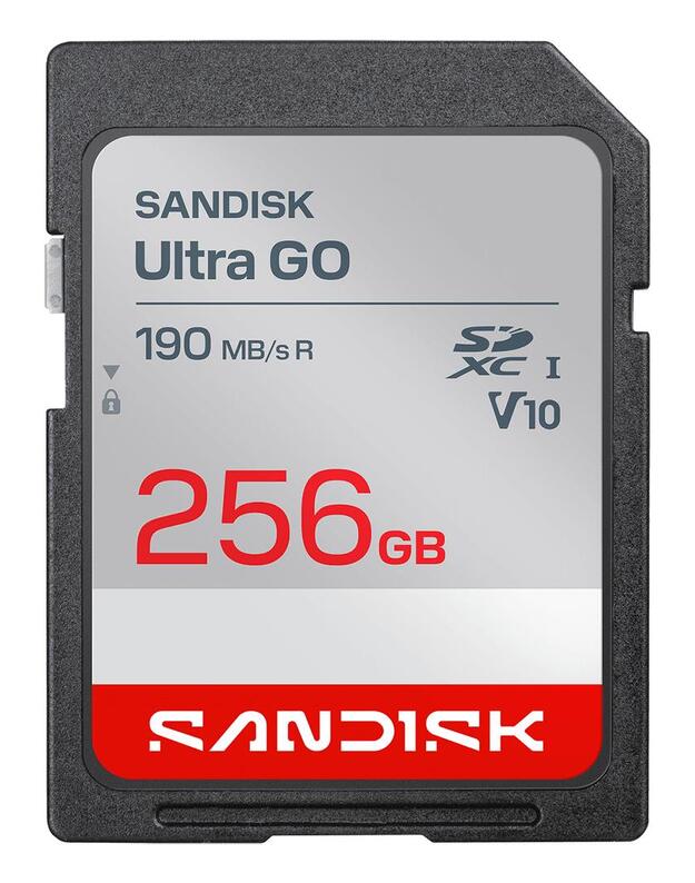 MEMORY SDXC 256GB UHS-I/SDSDUGN-256G-GN6IN SANDISK