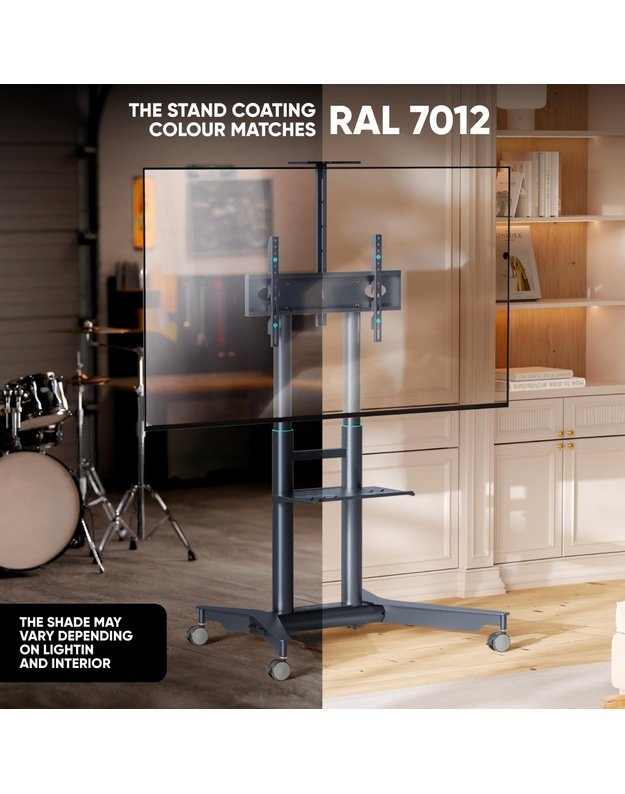 TV SET ACC MOBILE STAND/32-75 /GRAPHITE TS1571-G ONKRON