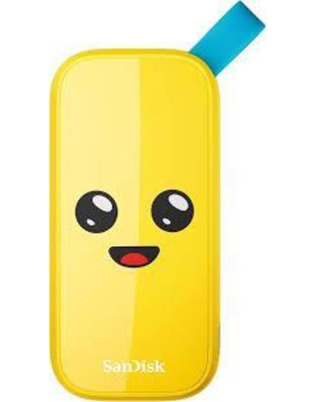 External SSD|SANDISK|2TB|USB 3.2|Read speed 800 MBytes/sec|SDSSDE30-2T00-G25F