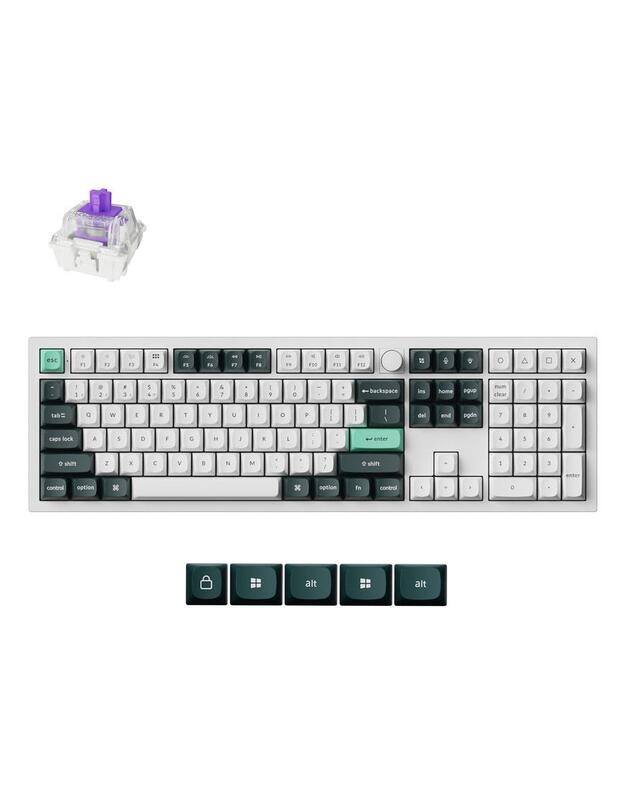 KEYBOARD WRL Q6 HE RGB/SHELL WHITE Q6H-P1 KEYCHRON