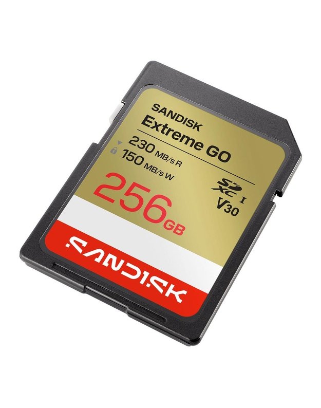 Atminties kortelė SanDisk SDXC 256GB UHS-I (SDSDXGN-256G-GNCIN)