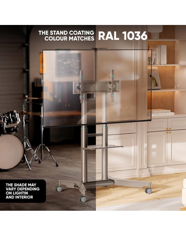 TV SET ACC MOBILE STAND/32-75 /CHAMPAGNE TS1571-C ONKRON