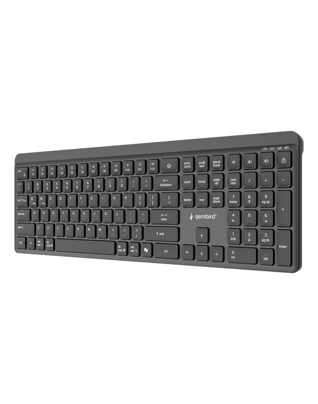 Belaidė plona klaviatūra Gembird 2.4G + Bluetooth, US (KB-WPS-03)