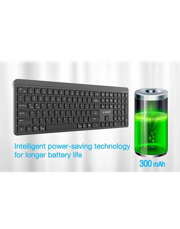 Belaidė plona klaviatūra Gembird 2.4G + Bluetooth, US (KB-WPS-03)