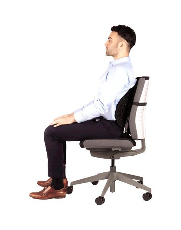 CHAIR BACK SUPPORT/BACK ANGEL 8026401 FELLOWES