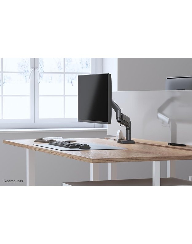 Monitoriaus stalo laikiklis Neomounts 17–32" (DS70-810BL1)