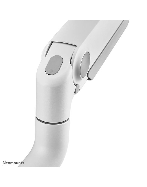 Monitoriaus stalinis laikiklis Neomounts 17–35", baltas (DS70S-950WH2)