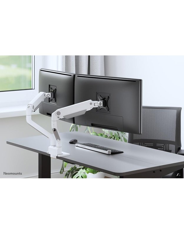 Monitoriaus stalinis laikiklis Neomounts 17–35", baltas (DS70S-950WH2)