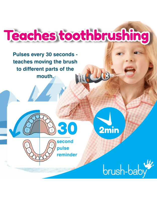 Elektrinis dantų šepetukas Brush baby WILDONES PENGUIN 6