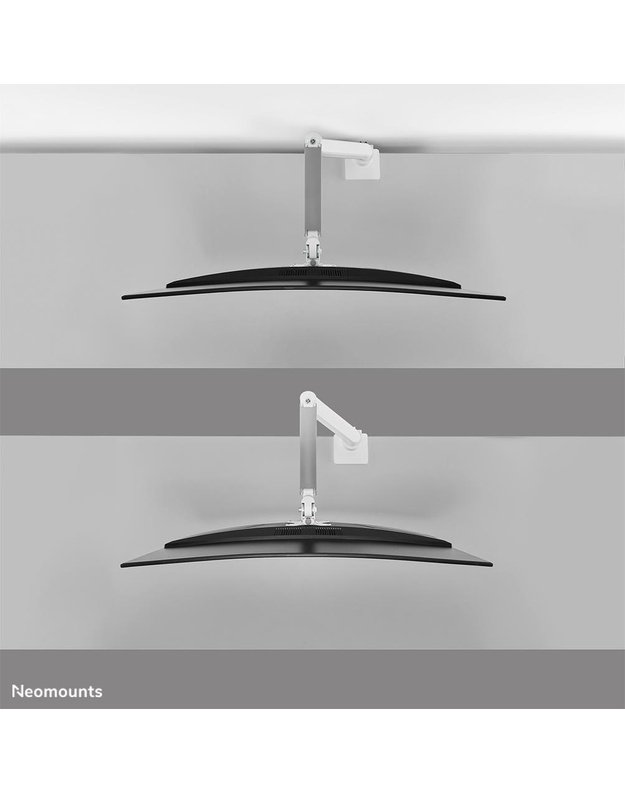 Monitoriaus stalo laikiklis Neomounts 17–49", baltas (DS70PLUS-450WH1)