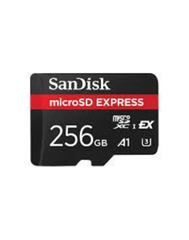 MEMORY MICRO SDXC 256GB UHS-I/SDSQXFN-256G-GN4NN SANDISK