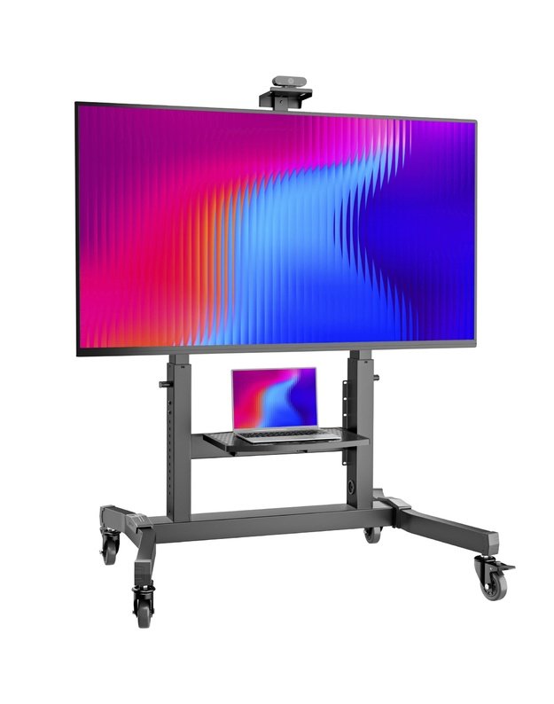 Mobilus TV stovas Onkron 50–100", juodas (TS1991-B)