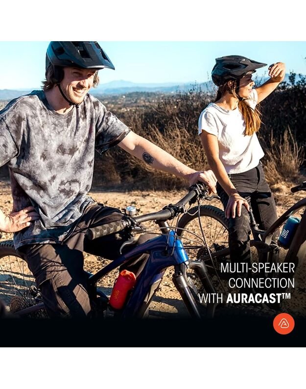 JBL Flip 7 BT squad, kamufliažinė 8