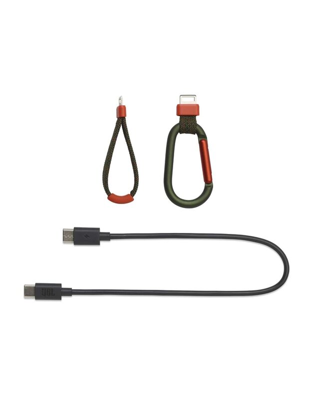 JBL Flip 7 BT squad, kamufliažinė 4