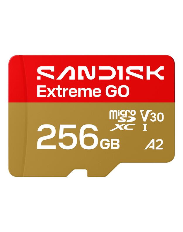 MEMORY MICRO SDXC 256GB UHS-I/SDSQXGN-256G-GN6MN SANDISK