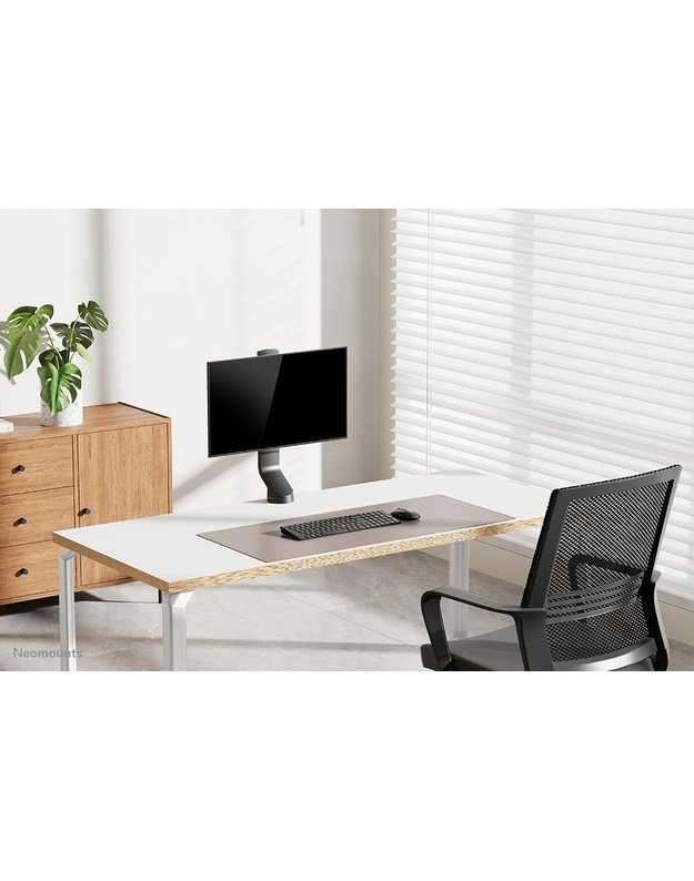 Monitoriaus stalo laikiklis Neomounts 10–32", juodas (FPMA-D860BLACK)