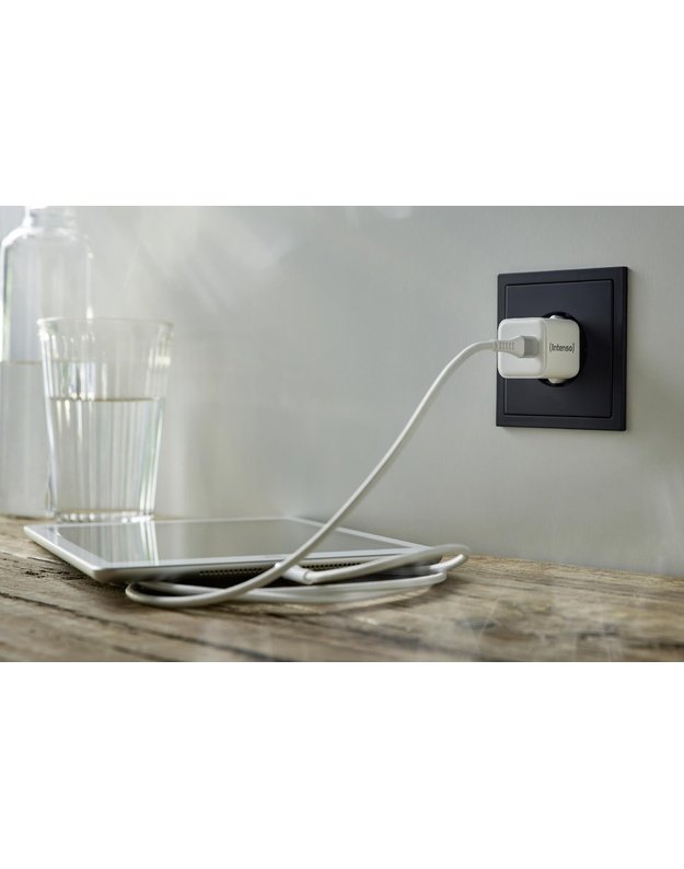 Maitinimo adapteris Intenso GaN, USB-C (7803022)