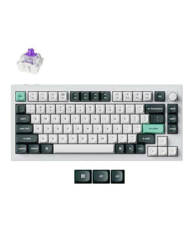 KEYBOARD WRL Q1 HE RGB/SHELL WHITE Q1H-P1 KEYCHRON