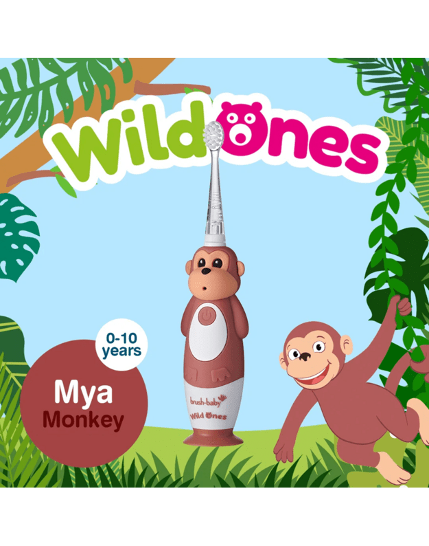 Elektrinis dantų šepetukas Brush baby WILDONES MONKEY 8