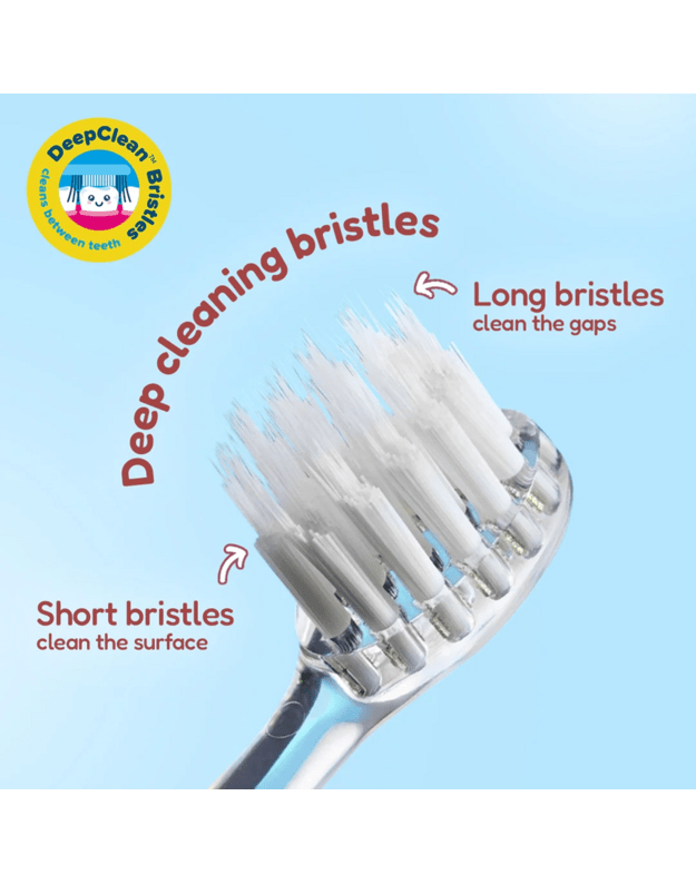 Elektrinis dantų šepetukas Brush baby WILDONES MONKEY 2