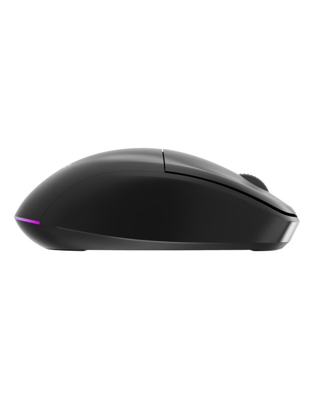 MOUSE USB OPTICAL WRL/MUSW2-6B-01 GEMBIRD
