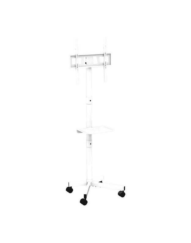 TV SET ACC FLOOR STAND 32-55 /TVS-55T-03-W GEMBIRD