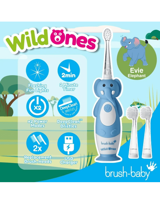 Elektrinis dantų šepetukas Brush baby WILDONES ELEPHANT  2
