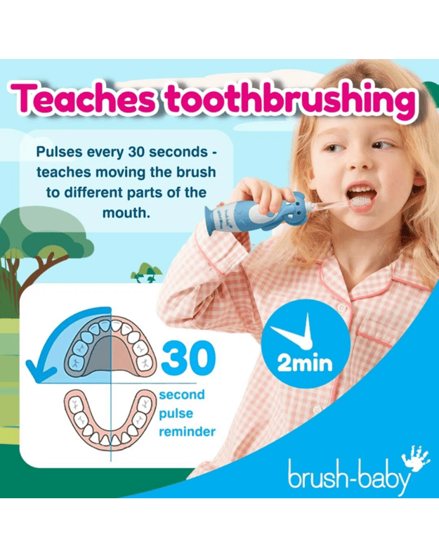 Elektrinis dantų šepetukas Brush baby WILDONES ELEPHANT  5