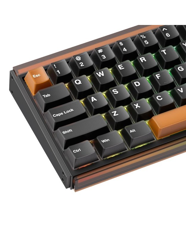 Belaidė klaviatūra Akko RAY68 HE, ruda (103-RA68A-000)