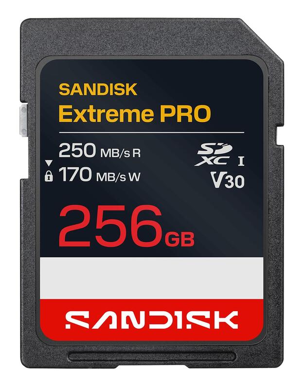 MEMORY SDXC 256GB UHS-1/SDSDXXJ-256G-GSCIN SANDISK
