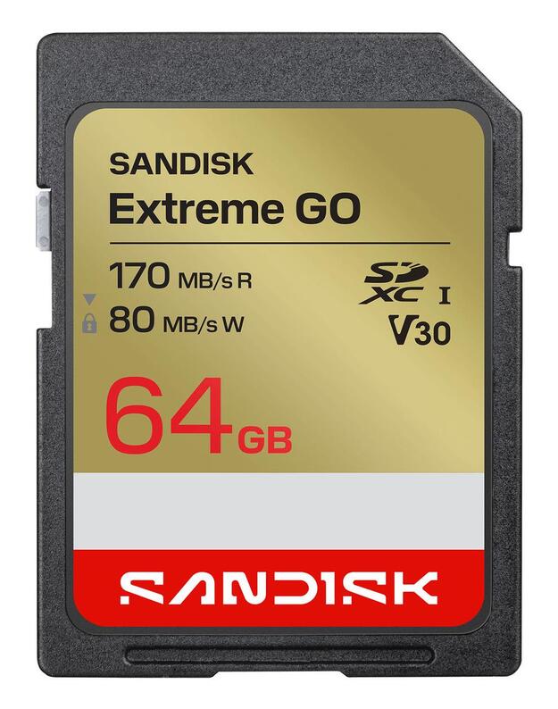 MEMORY SDXC 64GB UHS-I/SDSDXGN-064G-GNCIN SANDISK