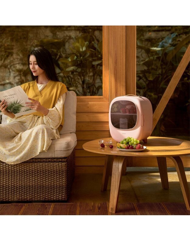 Baseus Zero Space automobilinis šaldytuvas su šaldymo / šildymo funkcija, 8l 220V EU / 12V 11