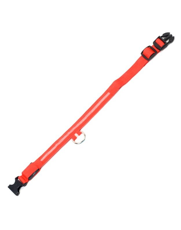 LED antkaklis šuniui 34-42 cm, raudonas 1