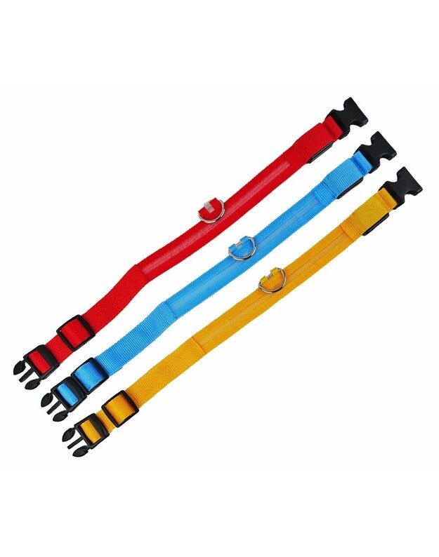 LED antkaklis šuniui 34-42 cm, raudonas 2